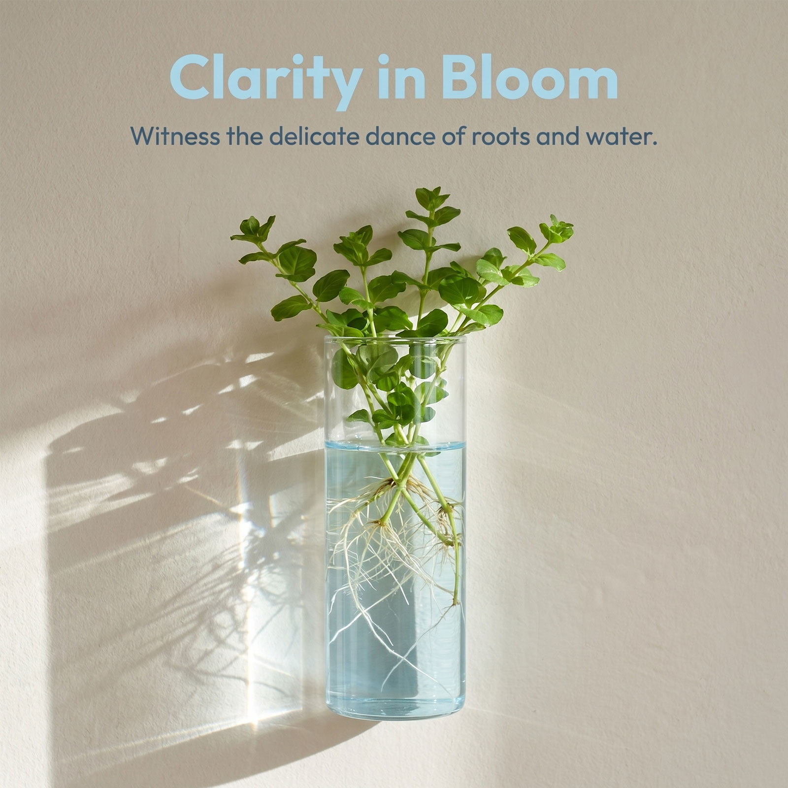 5Pcs Cylinder Glass Wall Vase  - Propagation Station Vase recension och pris
